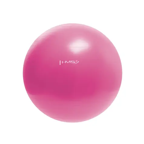 HMS YB01N Gymnastikball 55 cm rosa