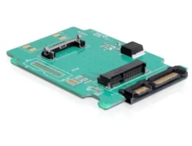 DeLock Adapter SATA 22 Pin auf mSATA