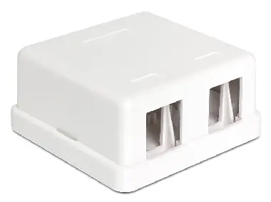 DeLock Keystone-Box für 2 Ports / Wandmontage