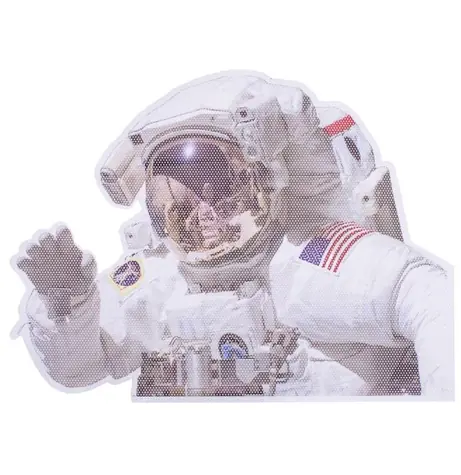 ThumbsUp! NASA Ride With Astronaut / Abnehmbarer Autofensteraufkleber