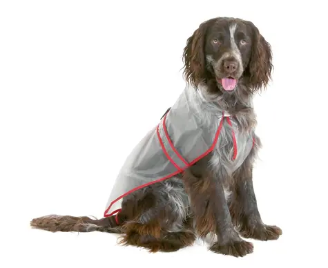 Karlie Regenmantel für Hunde, klassisch, 38 cm