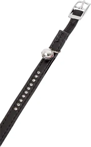 Flamingo ALP Halsband für Hunde mit Glöckchen Monte Carlo schwarz - 30x1cm