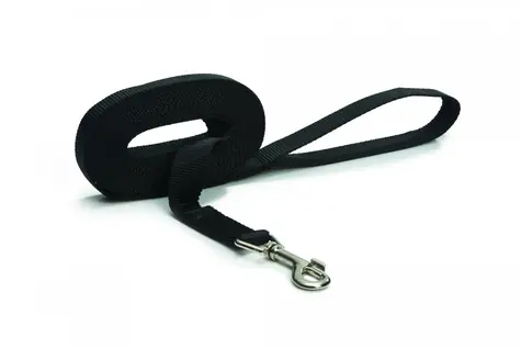 Beeztees Hundeleine Nylon schwarz 5m