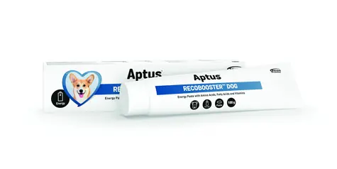 Aptus Recobooster Dog 100 g / Leckere Paste zum Auffüllen der Energie