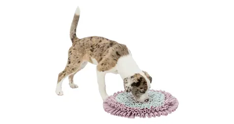 TRIXIE 32039 JUNIOR Dog Activity Schnüffelmatte 38 cm