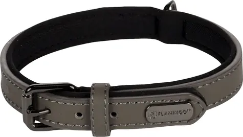 Flamingo Binti Lederhalsband mit Neopren grau S