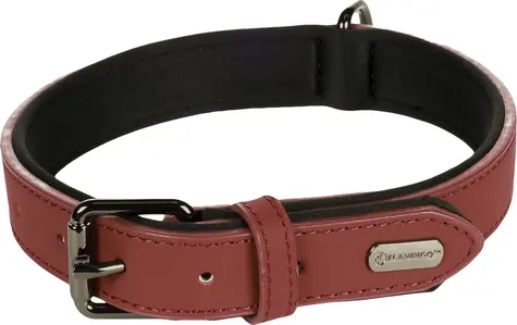 Flamingo Binti Lederhalsband mit Neopren rot M/L