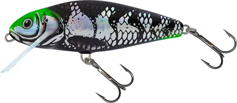 Salmo Wobler Barsch DR 8cm Holo Dunkelgrüner Kopf