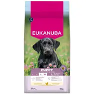 Eukanuba Puppy Large reich an frischem Huhn 15kg / Granulat für Welpen / für große Rassen 