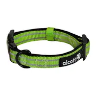 Alcott Adventure grün - Größe S / reflektierendes Halsband für Hunde