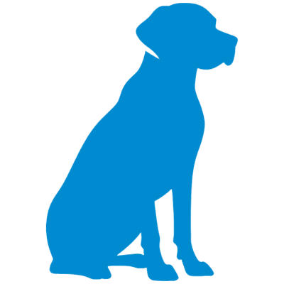 Velký