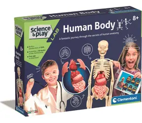 Kreatives und pädagogisches Spielzeug
