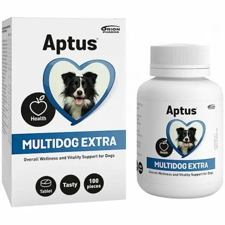 Hundegesundheit